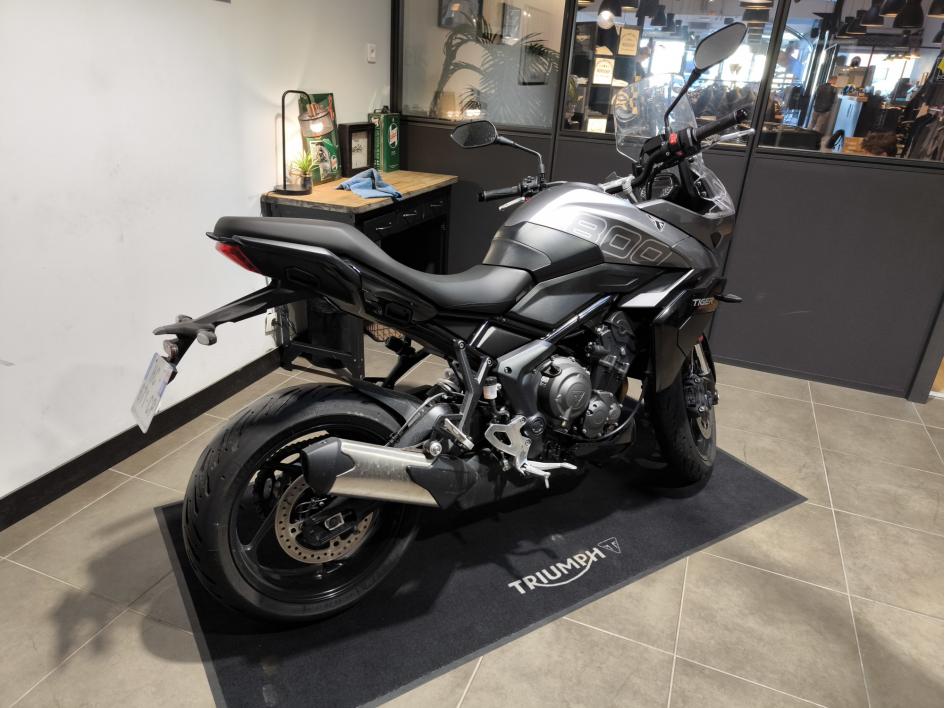 TRIUMPH TIGER SPORT 800