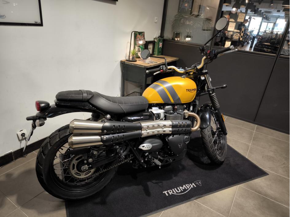 TRIUMPH SCRAMBLER 900 A2 